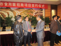Exchange between Liu Dong and senior officials of Shanxi bacterial community