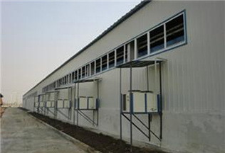 Xinjiang mushroom factory construction